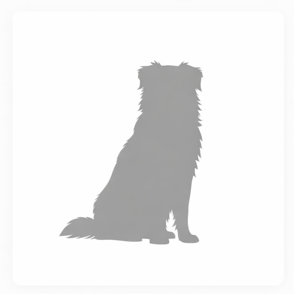 Chester – Firmenhund